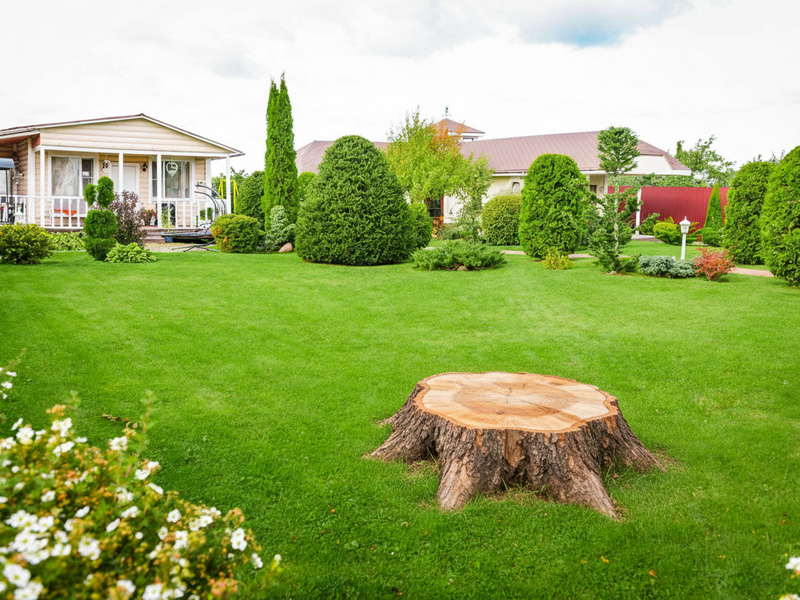 Residential stump removal